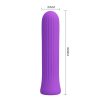 Bala vibrador recargable Blanche color morado