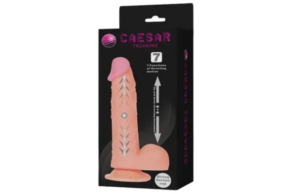 CAESAR CAESAR