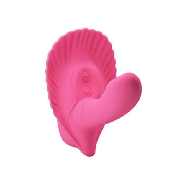 FANCY CLAMSHELL